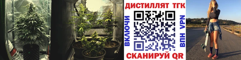 ТГК Wax  blacksprut tor  Ржев 