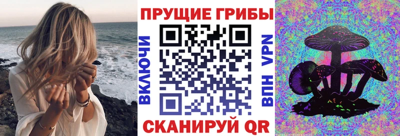 Галлюциногенные грибы Psilocybine cubensis Ржев